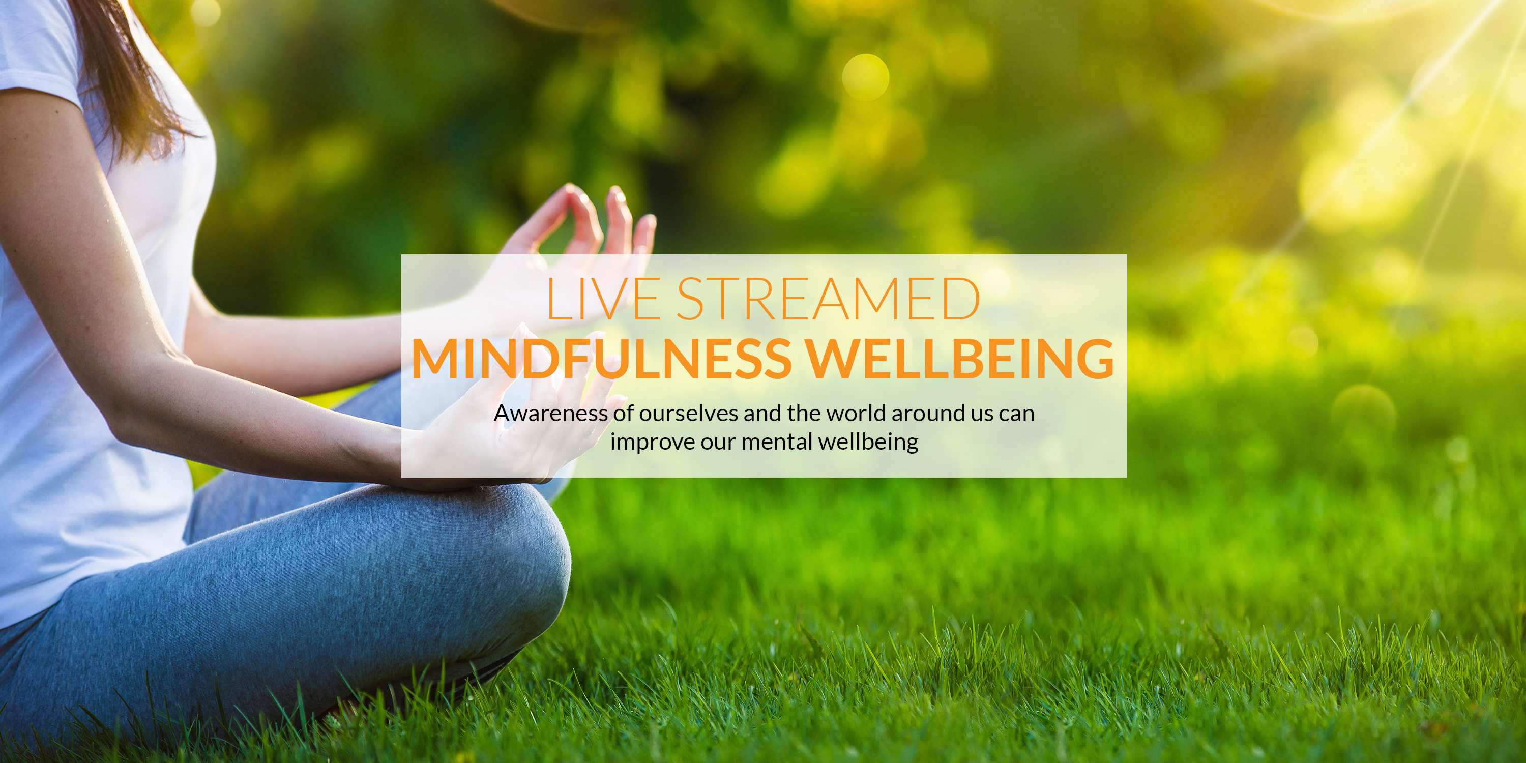 The best Mindfulness Wellbeing live-streamed